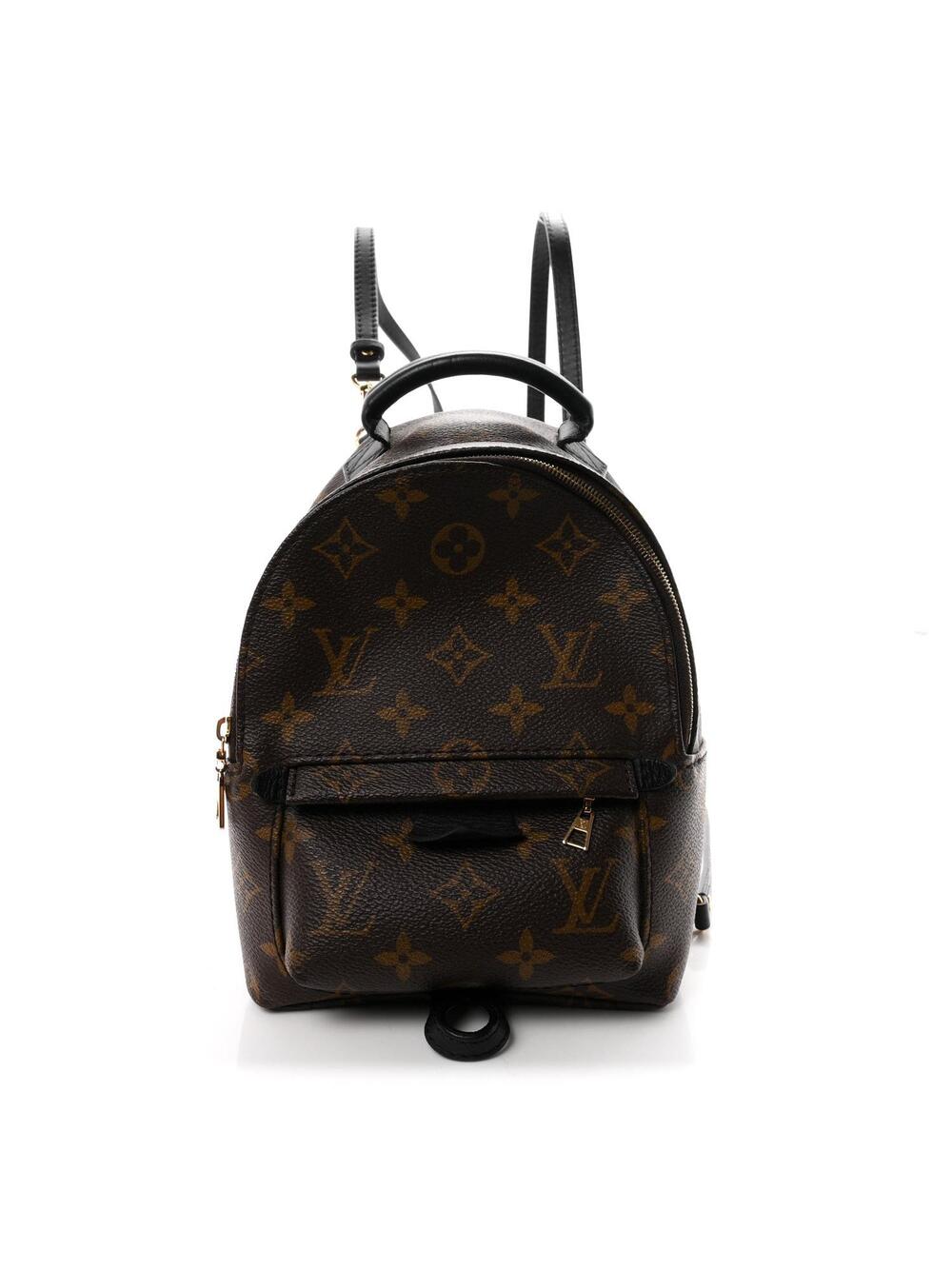 Louis Vuitton Palm Springs Backpack #338066L13B